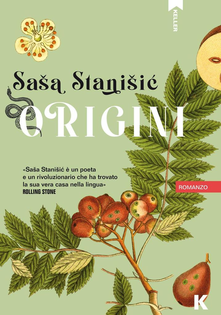 Stani¿ic, S: Origini