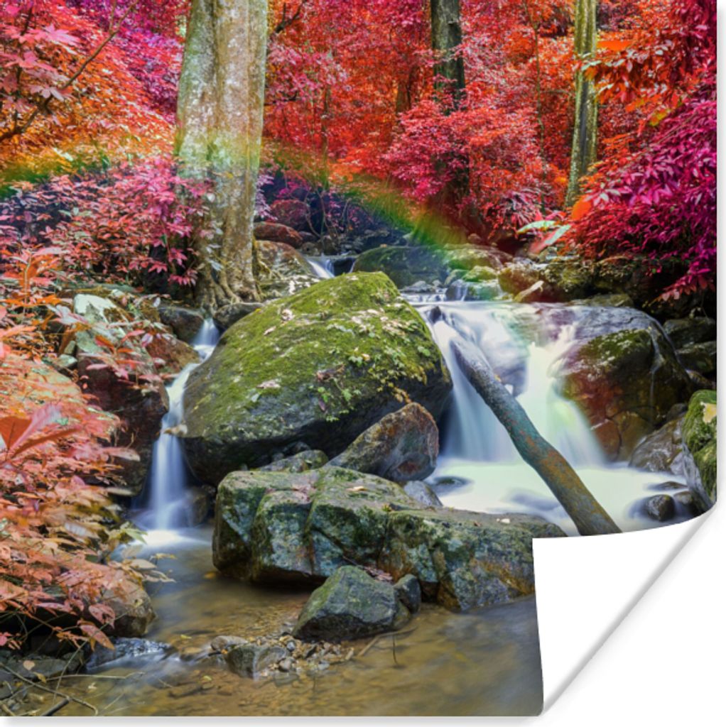 MuchoWow Poster Regenbogen - Wasserfall - Bäume - Steine - Moos 50x50 cm - Wohnzimmerdekoration