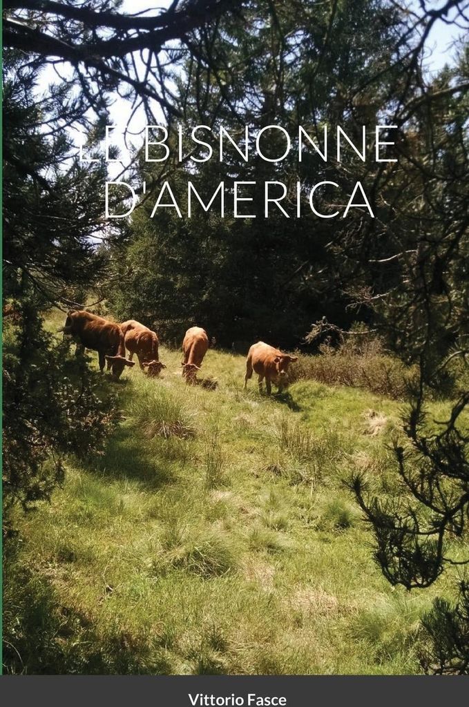 Le Bisnonne D'america