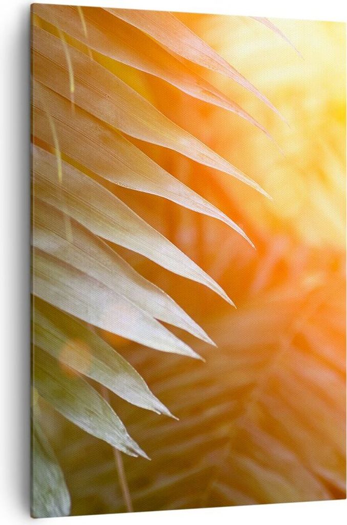 Bild auf Leinwand - Leinwandbild - Einteilig - Exotisch Blätter Dämmerung - 70x100cm - Wand Bild - Wanddeko - Wandbilder - Leinwanddruck - Wandde...