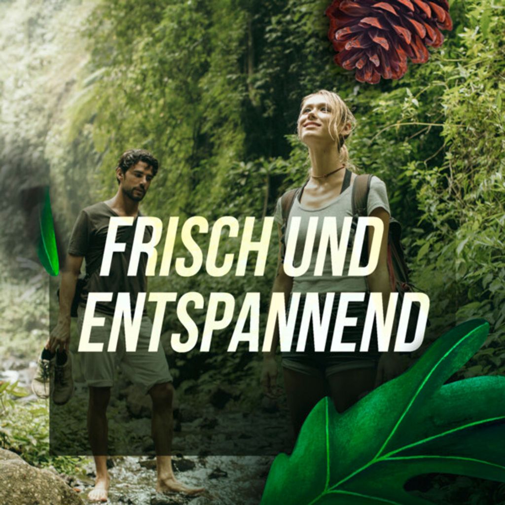 Axe Deospray Wild Green Mojito & Cedarwood ohne Produktbild 8