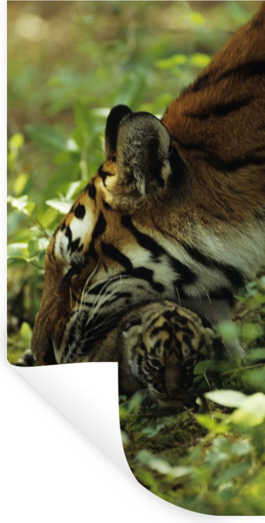 MuchoWow Wandtattoo Wandsticker Wandaufkleber Tiger - Pflanzen - Jungtier 60x120 cm Selbstklebend und Repositionierbar - Selbstklebend - Fototapeten