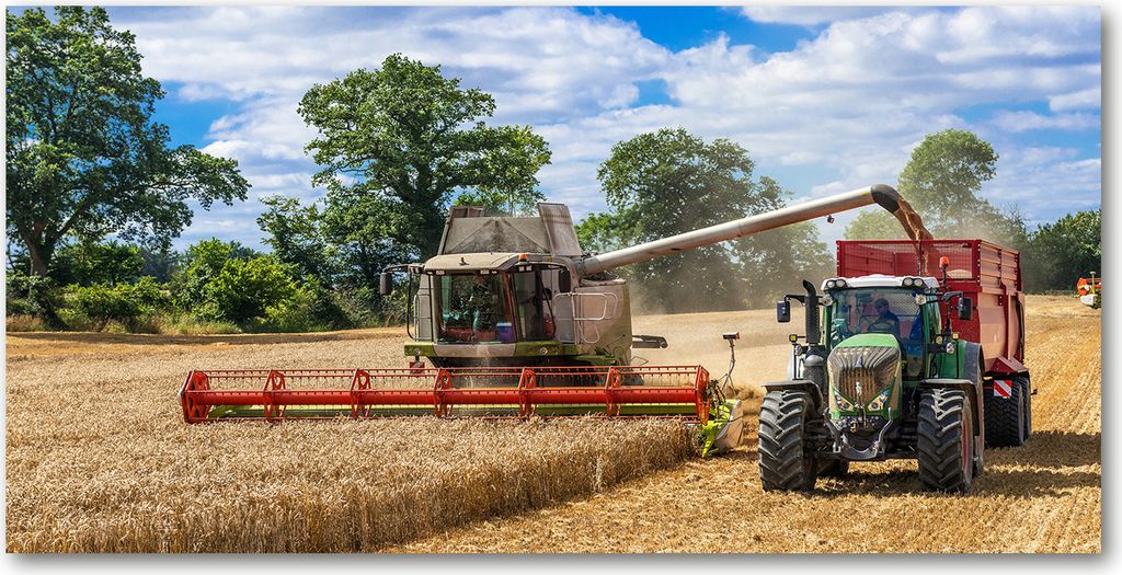 Tulup Leinwandbild - 120x60 cm - Wandkunst - Drucke auf Leinwand - Leinwanddruck - Fahrzeuge - Mehrfarbig - Mähdrescher Traktor