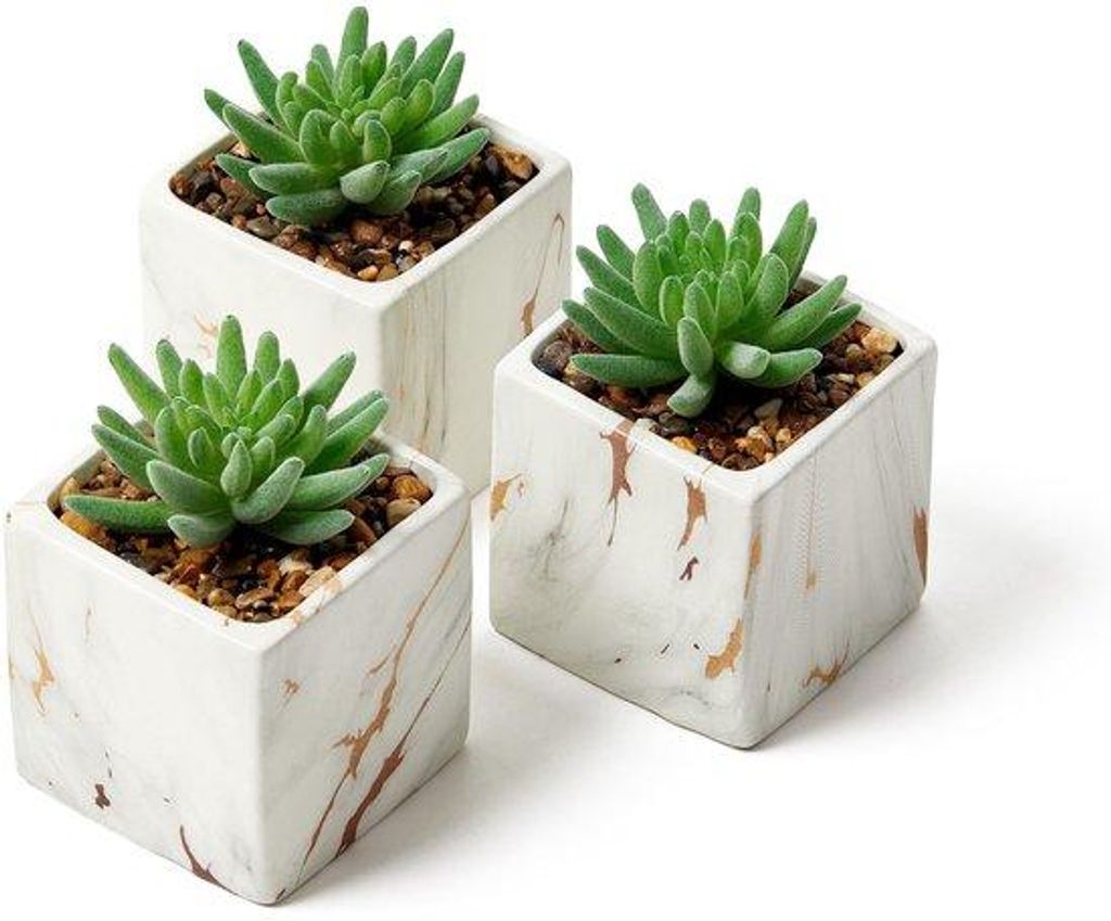 Artifizielle Sukkulenkultur-Set mit vier schwarzen keramischen Töpfen in runden Formen - Perfekt für Schlafzimmer- und Badezimmerausstattung.