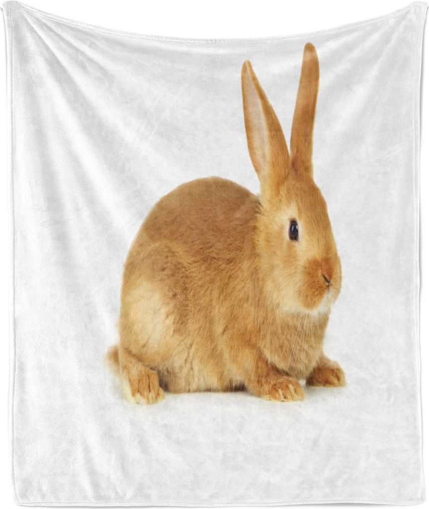 ABAKUHAUS Hase Weich Flanell Fleece Decke, Fluffy und Animal Design, Gemütlicher Plüsch für den Innen- und Außenbereich, 125 x 175 cm, Caramel ...