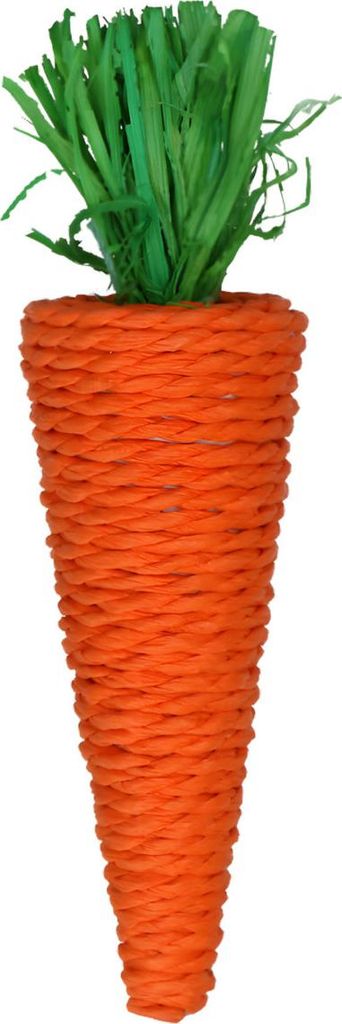 Pawise Nager Spielzeug Play & Chew Möhre