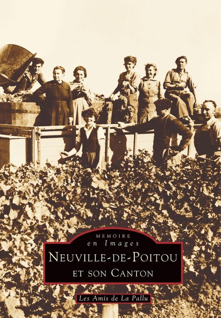 ville-de-Poitou et son canton