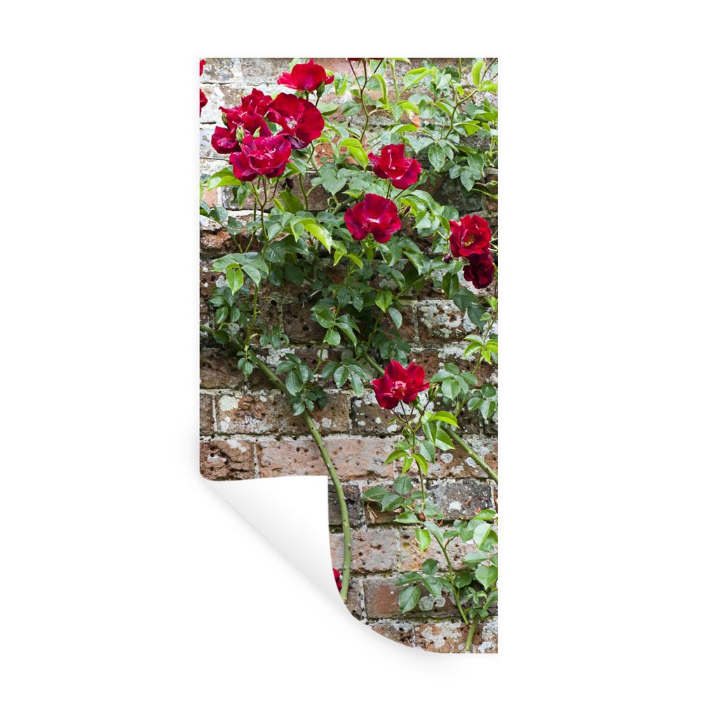 MuchoWow Wandtattoo Wandsticker Wandaufkleber Kletterpflanze mit roten Blüten an einer Steinmauer 40x80 cm Selbstklebend und Repositionierbar - ...