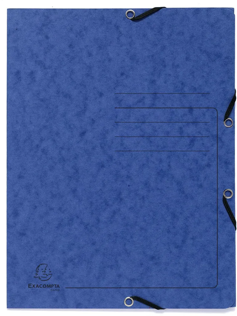 Fornitura 10 Cartelline Exacompta A4 355g - Qualità Premium Ufficio - 2