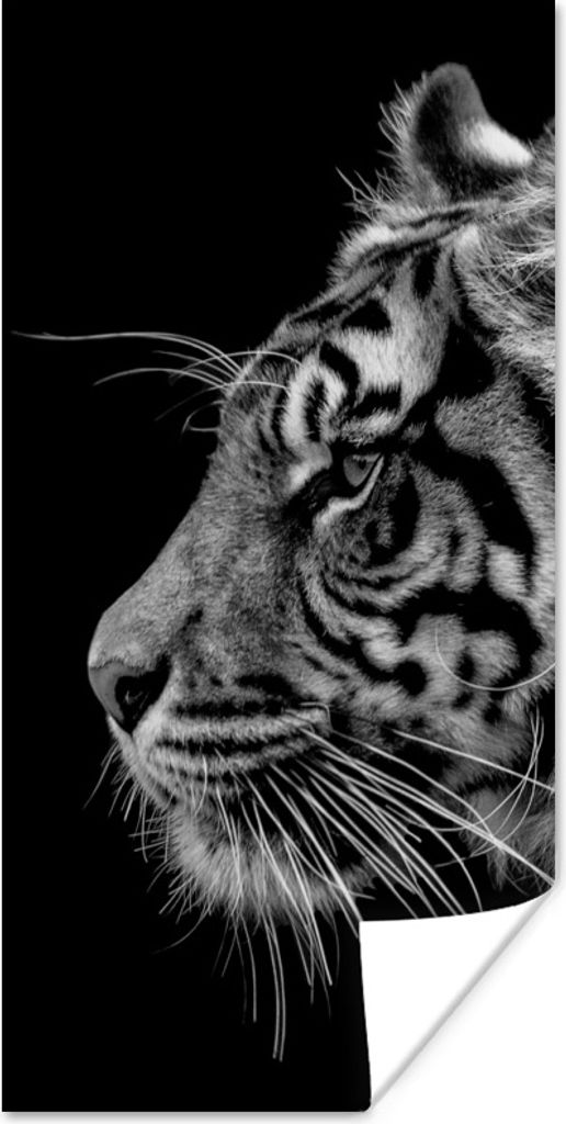 MuchoWow Poster Tiger auf schwarzem Hintergrund in schwarz und weiß 80x160 cm - Kinderzimmer