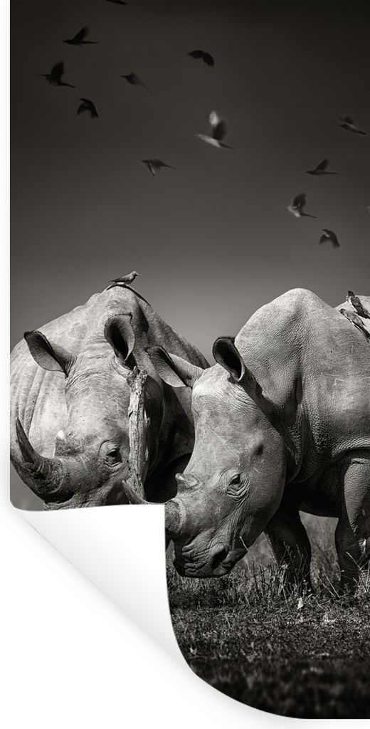 MuchoWow Wandtattoo Wandsticker Wandaufkleber Nashorn - Vogel - Tiere - Landschaft - Schwarz-Weiß 40x80 cm Selbstklebend und Repositionierbar - ...