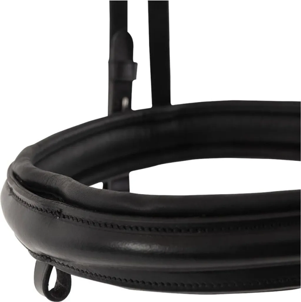 Bridon Premiere Bondy T Flash Noir Cob : Stable et Doux pour Cheval - 2