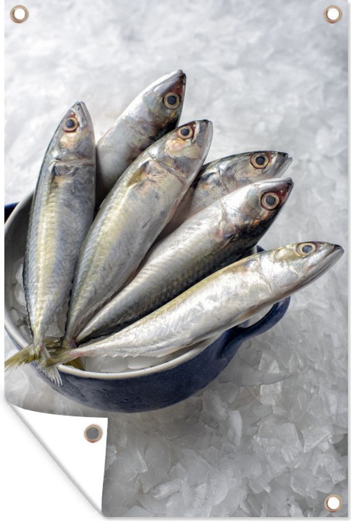 MuchoWow 80x120 cm Outdoor-Poster Gartendeko Sichtschutz Garten Poster für den Garten Frische Makrele in einem Eimer mit Eis