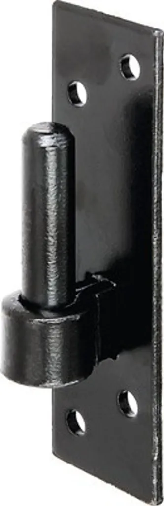 Gond de Porte Noir ø14mm Alberts en Acier Renforcé avec Platine de Fixation