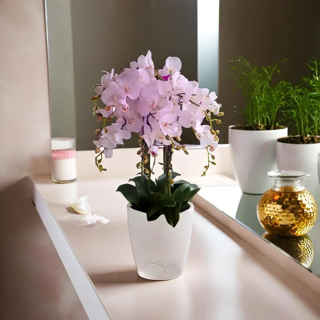 Pot orchidée 12 cm anti-pourriture avec mèche et indicateur d'eau clair