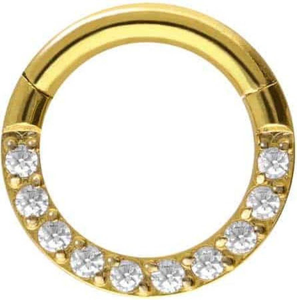 Ohrpiercing, Nasenpiercing, Septum Piercing Titan Segmentring Clicker EINGEFASSTE KRISTALLE Gold Innendurchmesser: 6 mm