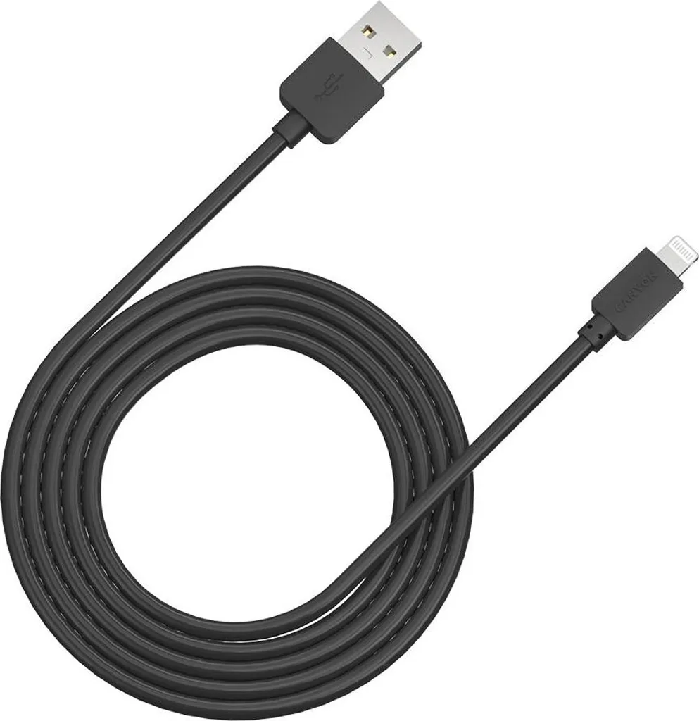 Acquista Canyon CFI-1 Cavo Lightning 1m Nero - Robusto e Conveniente