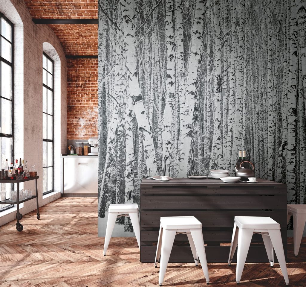 NEWROOM Tapete Schwarz Vliestapete Birkenwald - Wandbild Modern Weiß Grau Wald Bäume Tapete Floral Bäume