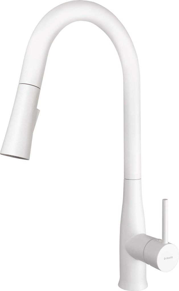 Kitchen faucet with pull-out spout