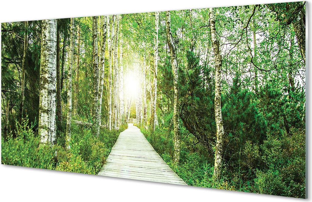 Glasbilder 120x60 Wandkunst Birke Forstweg