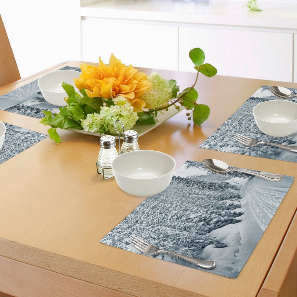 ABAKUHAUS Winter Platzmatten, Ski Themen Snowy Road Cold Teile der Welt Footprints Colorado USA, Tiscjdeco aus Farbfesten Stoff für das Esszimmer ...