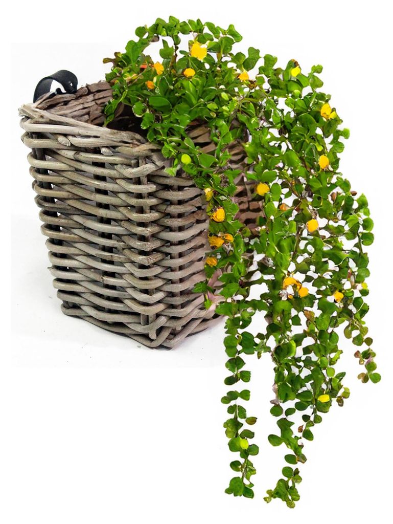 Balkonkorb - Rattan geflochten -15 x 15 x 15 cm - Produktbild 