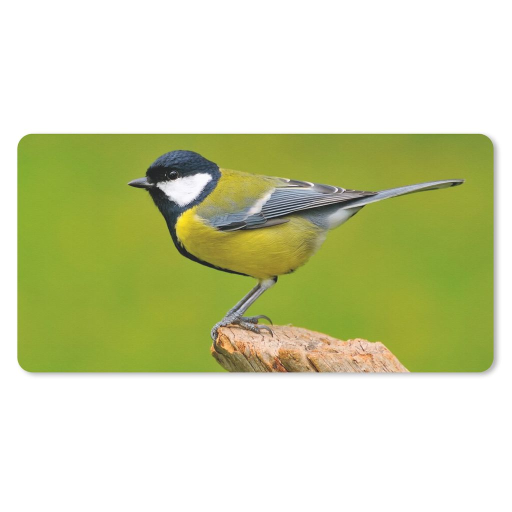 MuchoWow Mauspad Mousepad Vogel - Kohlmeise - Tiere - Grün 60x30 cm - Mousepads - Maus Mat - Pad - Mausunterlage - Nachhaltig