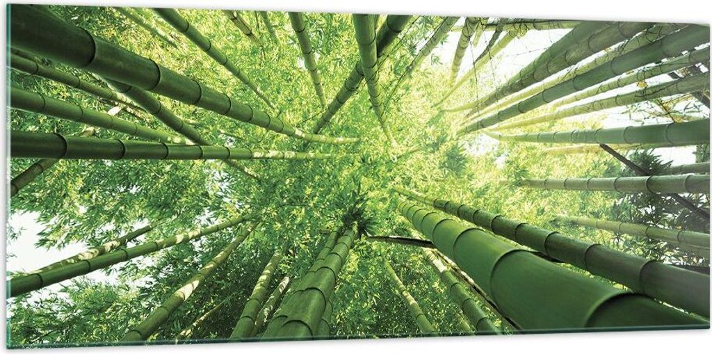 Bilder auf glas - Einteilig - Bambus Dschungel Grün - 120x50cm - Glasbilder - Wandbilder - Bilder - zum Aufhängen bereit - Wanddekoration aus Gla...