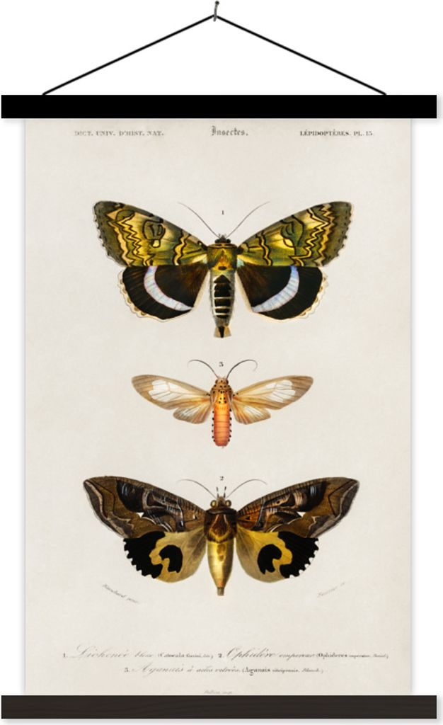 MuchoWow Textilposter Schmetterling - Vintage - Insekten 40x60 cm mit schwarzem Rahmen - Wanddekorationen
