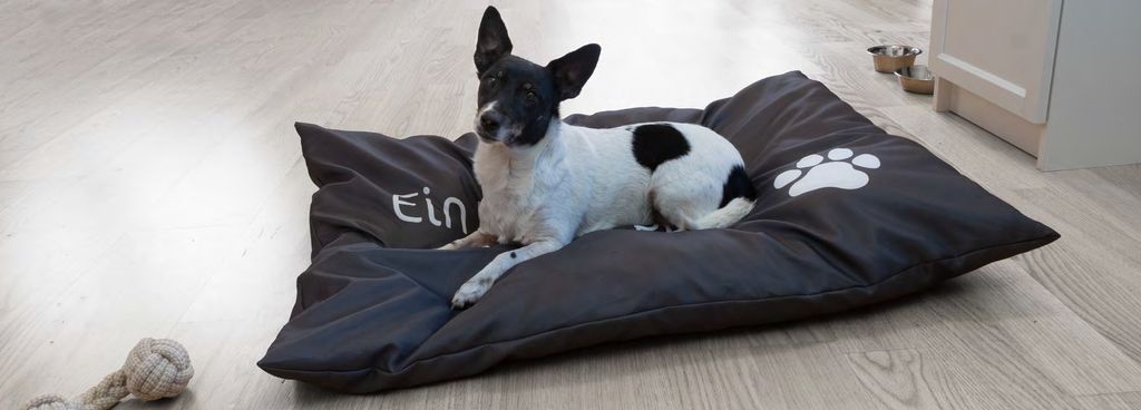 A dog is resting on a dog bed on a wooden floor.