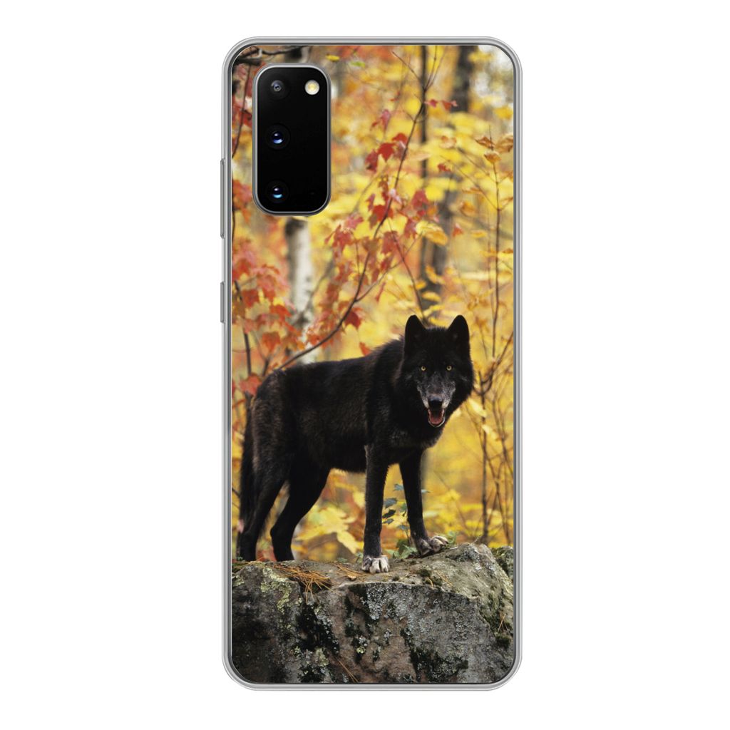 MuchoWow Handyhülle Schutzhülle Hülle für Samsung Galaxy S20 Wolf - Fels - Baum Silikon Softcase Handy Hülle - Bild