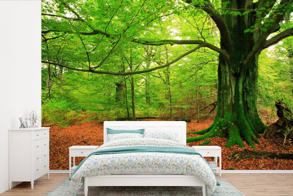 MuchoWow Fototapete für Wohnzimmer oder Schlafzimmer Wandtapete Vinyl Motivtapete Wald - Laub - Moos - 450x300 cm - Gemusterte