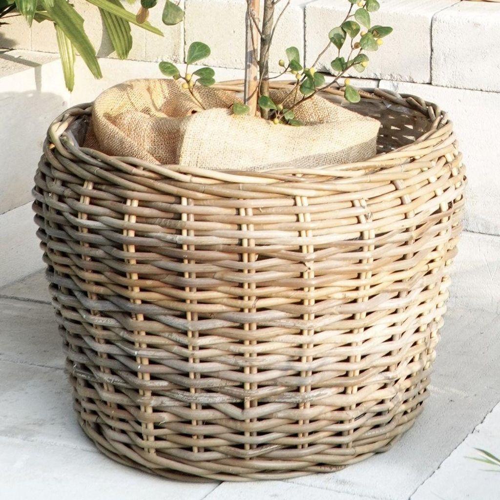 Natur Rattankorb GINI Natural Grey ca.46x36cm Pflanzkorb Produktbild 