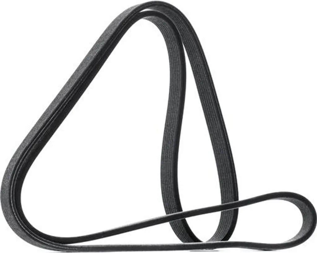 Courroie d'accessoire 7PK 1697 DAYCO pour système de transmission moteur