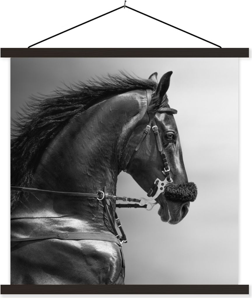 MuchoWow Textilposter Pferde - Schwarz - Porträt - Tiere 90x90 cm mit schwarzem Rahmen - Magnetisches
