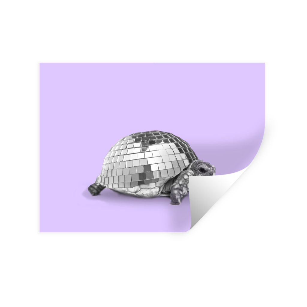 MuchoWow Wandtattoo Wandsticker Wandaufkleber Schildkröte - Discokugel - Disco - Tier - Lila 40x30 cm Selbstklebend und Repositionierbar - Falte...