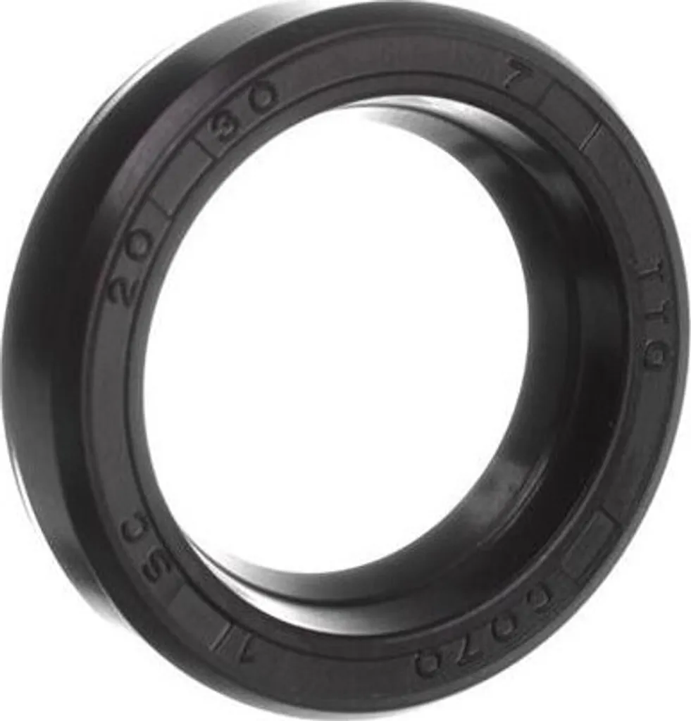 Paraolio 20x30x7 mm per Idropulitrici Kranzle Quadro e Therm - Qualità