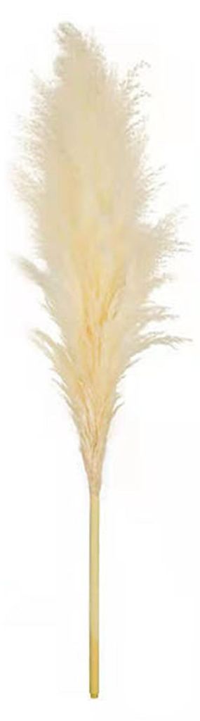 1/2/3/4/5 Stück künstliches Pampasgras, Boho-Stil, realistisch flauschig, getrocknet, für Zuhause, Büro, Hochzeit, Party, Tischdekoration