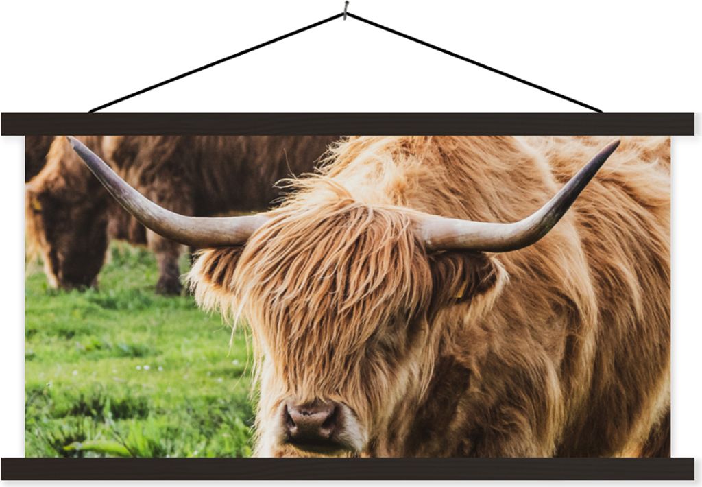 MuchoWow Textilposter Kuh - Hochlandrind - Tiere 120x60 cm mit schwarzem Rahmen - Dekoration Schlafzimmer