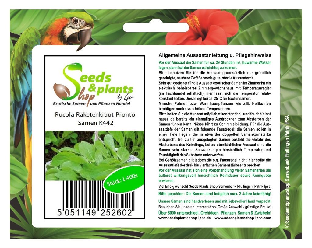 1400x Rucola Raketenkraut Pronto Eruca sativa Gemüse Pflanzen - Samen K442
