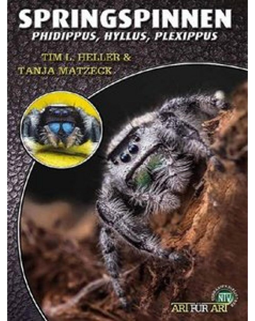 Springspinnen