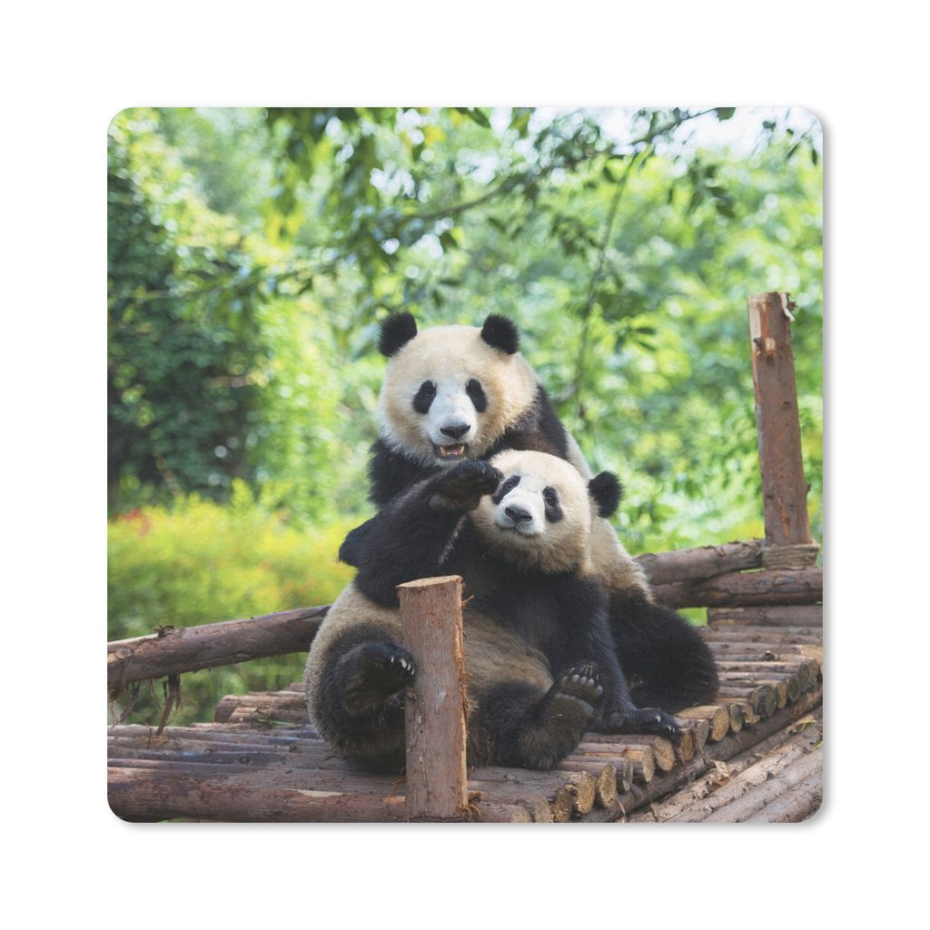 MuchoWow Mauspad Mousepad Panda - Brücke - Natur 20x20 cm - Mousepads - Maus Mat - Pad - Mausunterlage - Desk Mat - Bureauartikeln