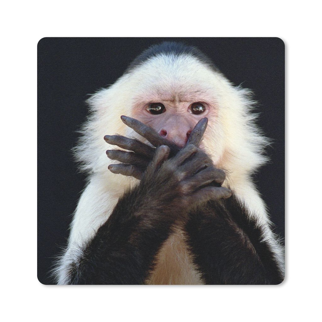 MuchoWow Mauspad Mousepad Affe - Wilde Tiere - Porträt 20x20 cm - Mousepads - Maus Mat - Pad - Mausunterlage - Desk Mat - Bureauartikeln