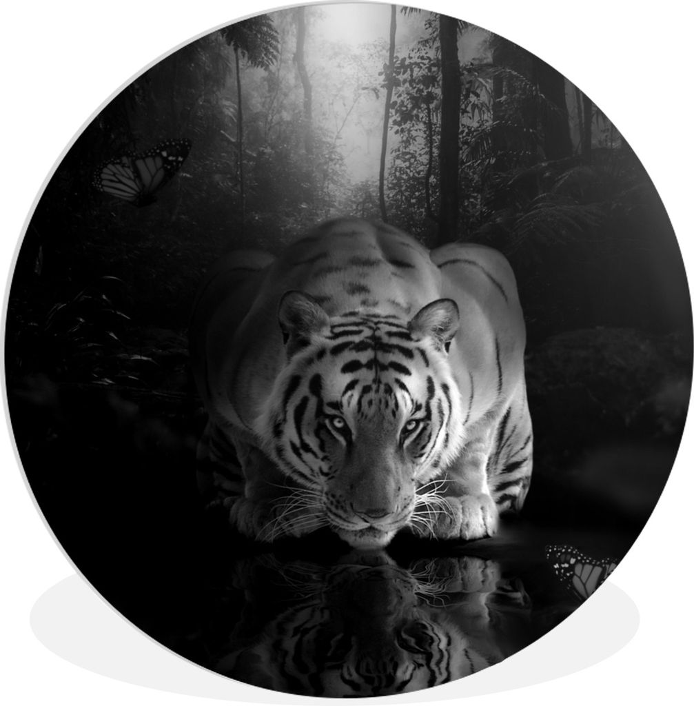 MuchoWow Rundes Wandbild - Runde Bilder Tiere - Schmetterling - Tiger - Schwarz - Weiß Ø 30 cm Kreis Wanddekoration Kunststoff - Wandkreis - Wa...