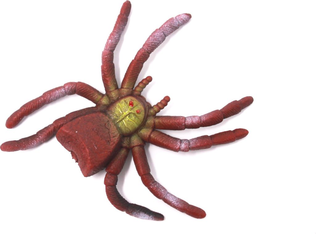 Stretch - Spinne - rot/gelb Produktbild 