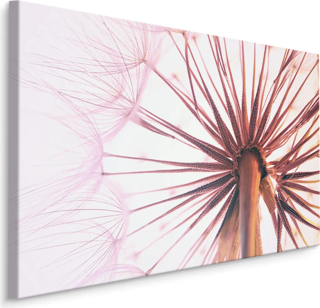 Decorazione Parete Tarassaco 70x50 - Quadro su Tela Natura Zen