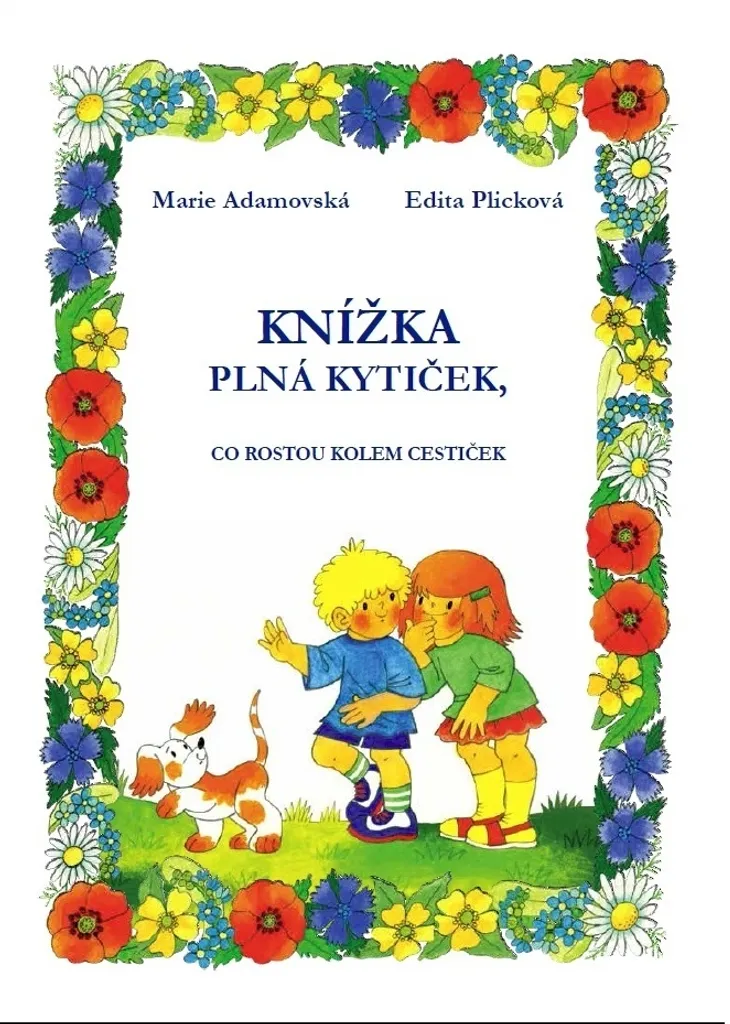 Livre éducatif botanique pour enfant : identification fleurs de chemin