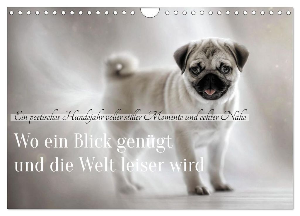 Wo ein Blick genügt und die Welt leiser wird (Wandkalender 2027 DIN A4 quer), CALVENDO Monatskalender
