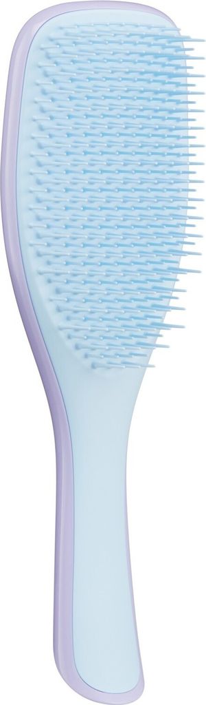 A studio product shot of a hairbrush.
