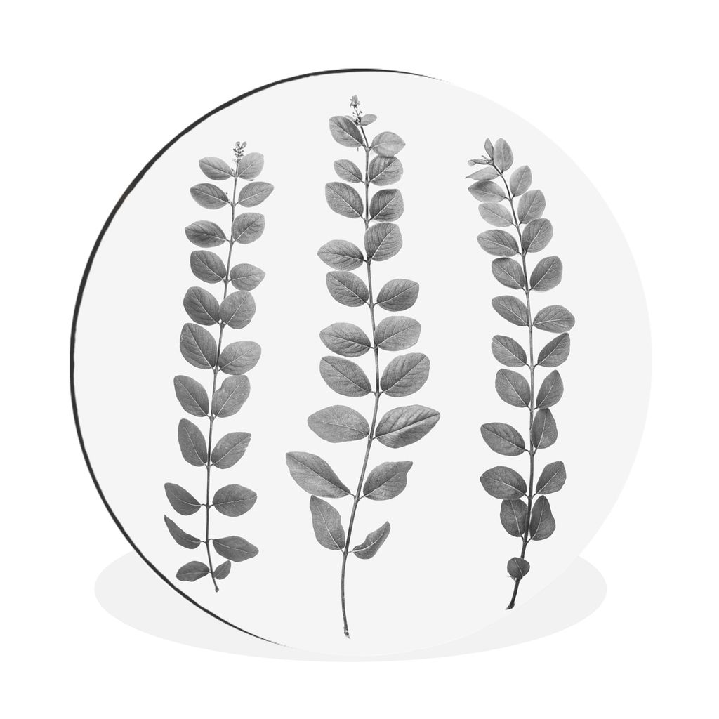 MuchoWow Aluminium Wandkreis Pflanzen - Blätter - Natur - Weiß Ø 60 cm Wanddeko Modern Wohnzimmer - Wand Kreis - Wandbild - Schlafzimmer - Alu...